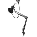 Brateck Professional Condenser Microphone + Mount