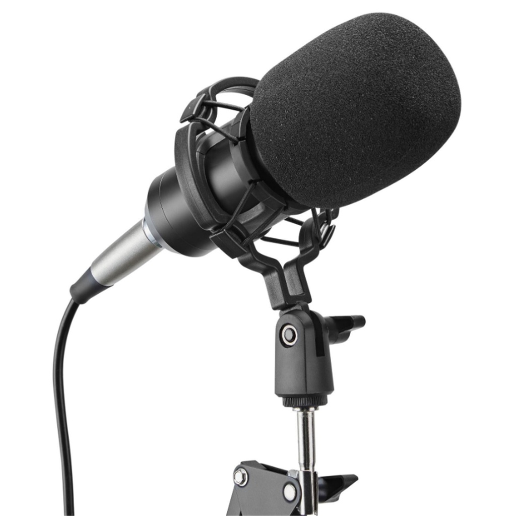 Brateck Professional Condenser Microphone + Mount