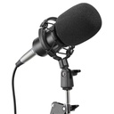 Brateck Professional Condenser Microphone + Mount
