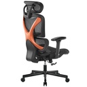 Brateck Ergonomic Office Chair with Headrest