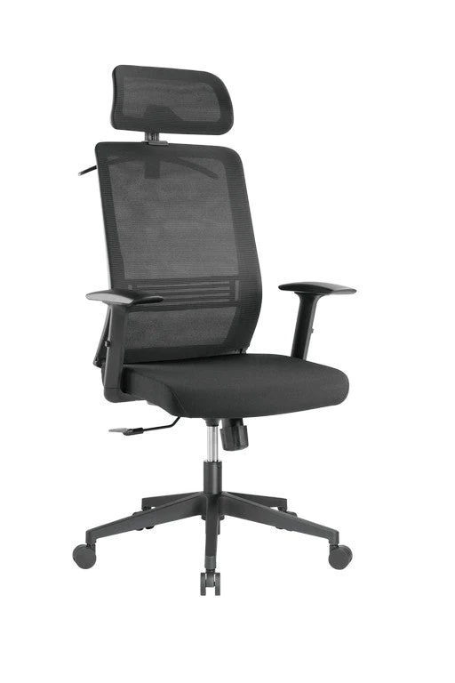 Brateck Ergonomic Office Chair with Headrest