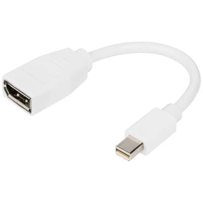 [DB-340405-001-W] Digitus 2m Mini DisplayPort to female DP cable