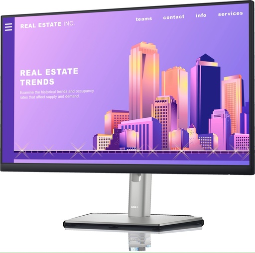 DELL P2422H 24" FHD 60Hz IPS Monitor